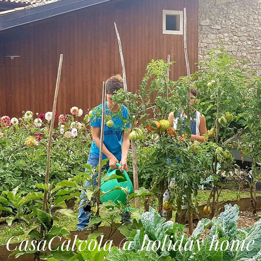 Casa Calvola Holiday Home Tenno Buitenkant foto